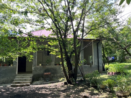 Zaqatala car kendi kiraye evler